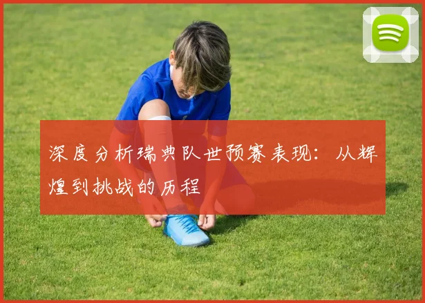 深度分析瑞典队世预赛表现:从辉煌到挑战的历程