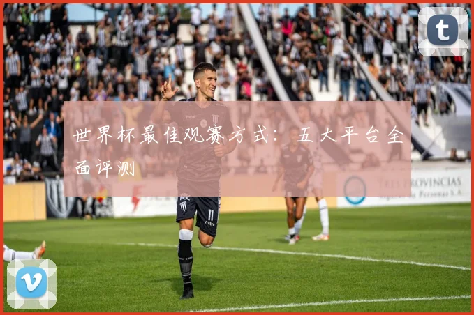 世界杯最佳观赛方式：五大平台全面评测