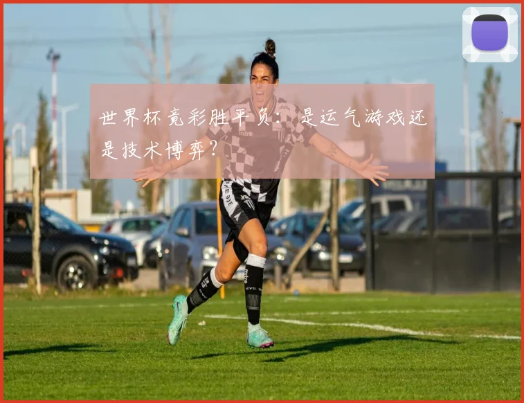 世界杯竟彩胜平负:是运气游戏还是技术博弈?