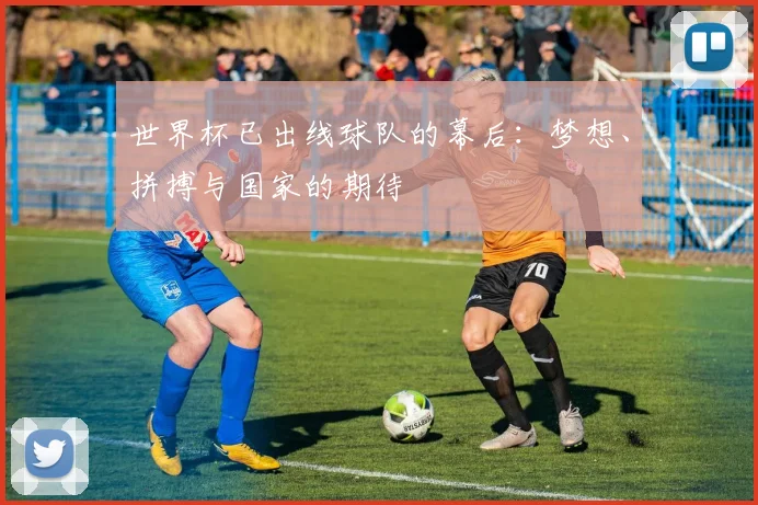 世界杯已出线球队的幕后：梦想、拼搏与国家的期待