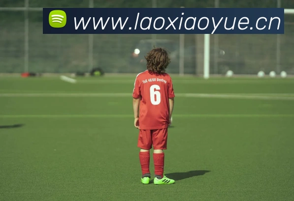 y1体育官网平台生态图