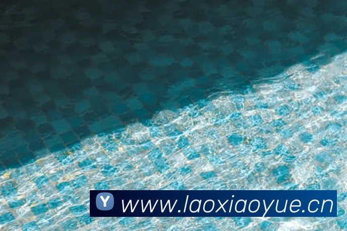 y1体育官网全站App y1体育官网全站App